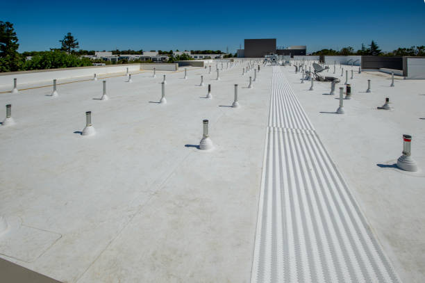 Best Storm Damage Roof Repair  in Camden, SC